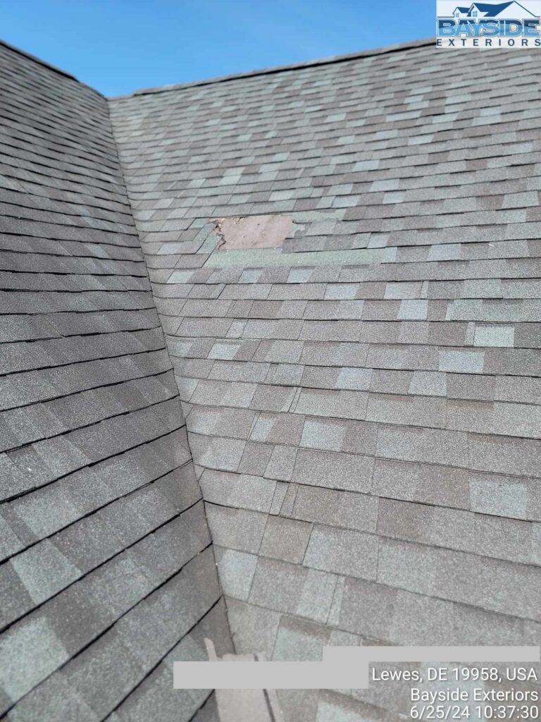 Shingle blow offs